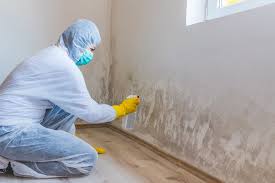 Mold Remediation for Rental Properties in La Cygne, KS