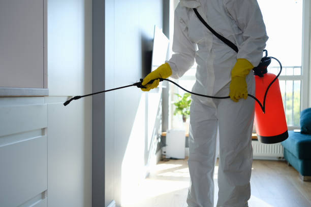 Mold Odor Removal Services in La Cygne, KS